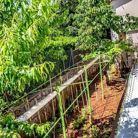 Apartman Gea